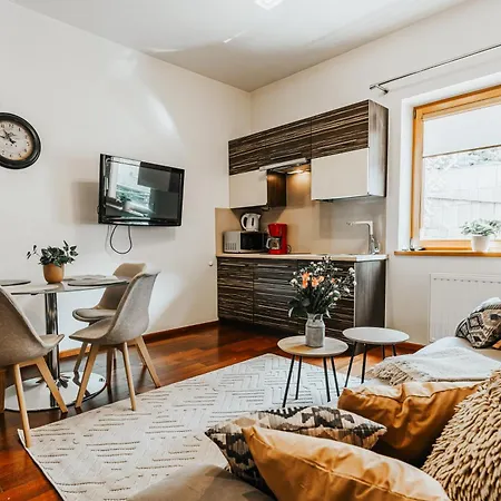 Visitzakopane Gorace Zrodla - Selena ザコパネ